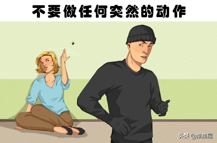 冷知识教你怎么追回被骗的钱,冷知识如果有人打你能还手吗