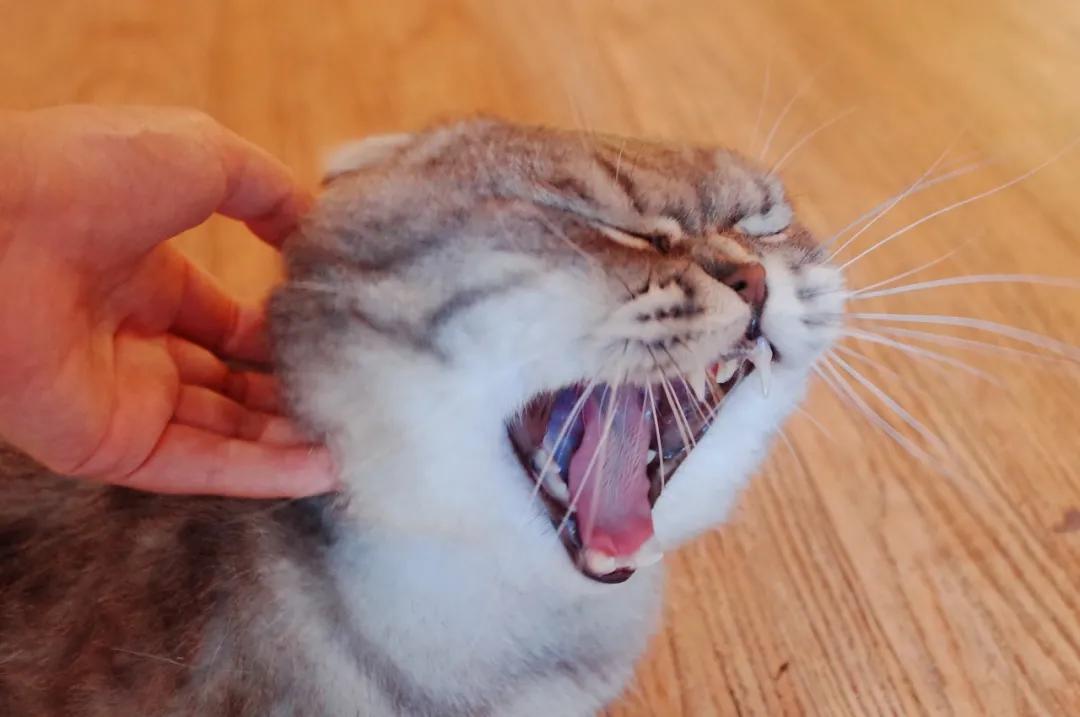 杭州西湖人少景美的地方,杭州人少景美免费景点