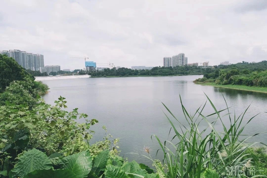 深圳游玩合集,深圳世界之窗游玩攻略必玩项目