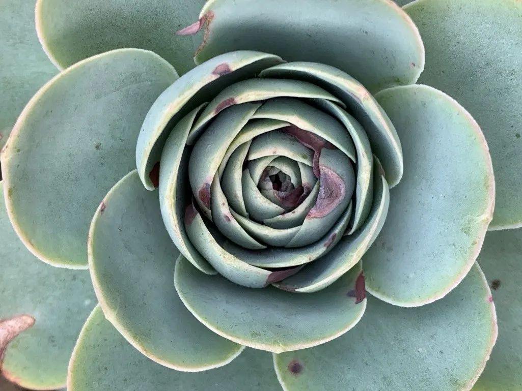 禁足的日子收获颇多,禁足