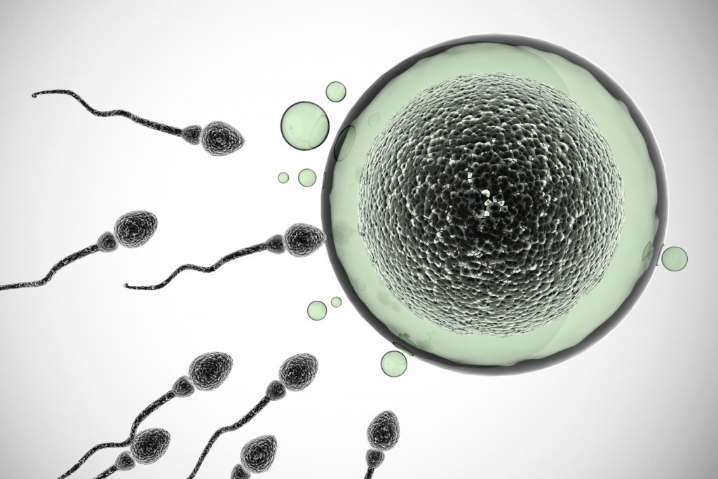 精子生育力分析,精子数量多好怀孕么