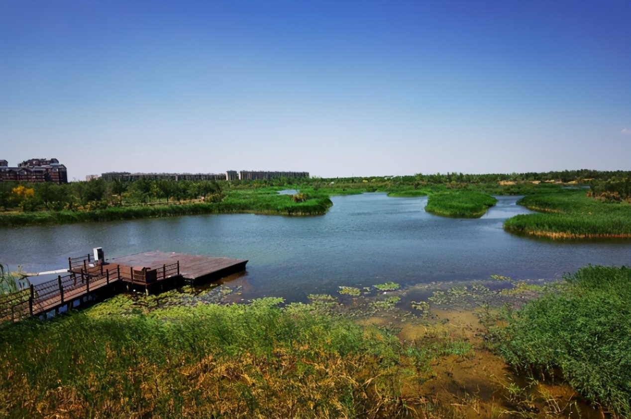 这个周末适合哪里玩,这个周末去哪里打卡