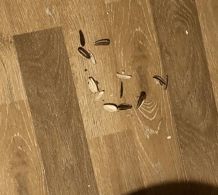 米家扫地机pro科沃斯n8,科沃斯地宝扫地机价格