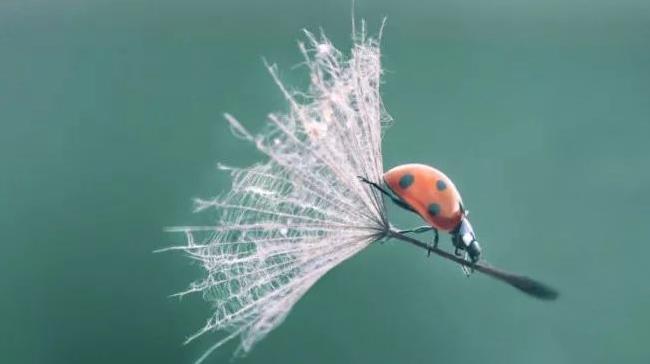 二十四节气秋分,二十四节气秋分养生先养肺