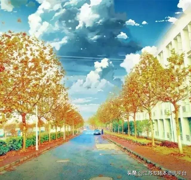 江苏专转本院校介绍「南京师范大学中北学院」