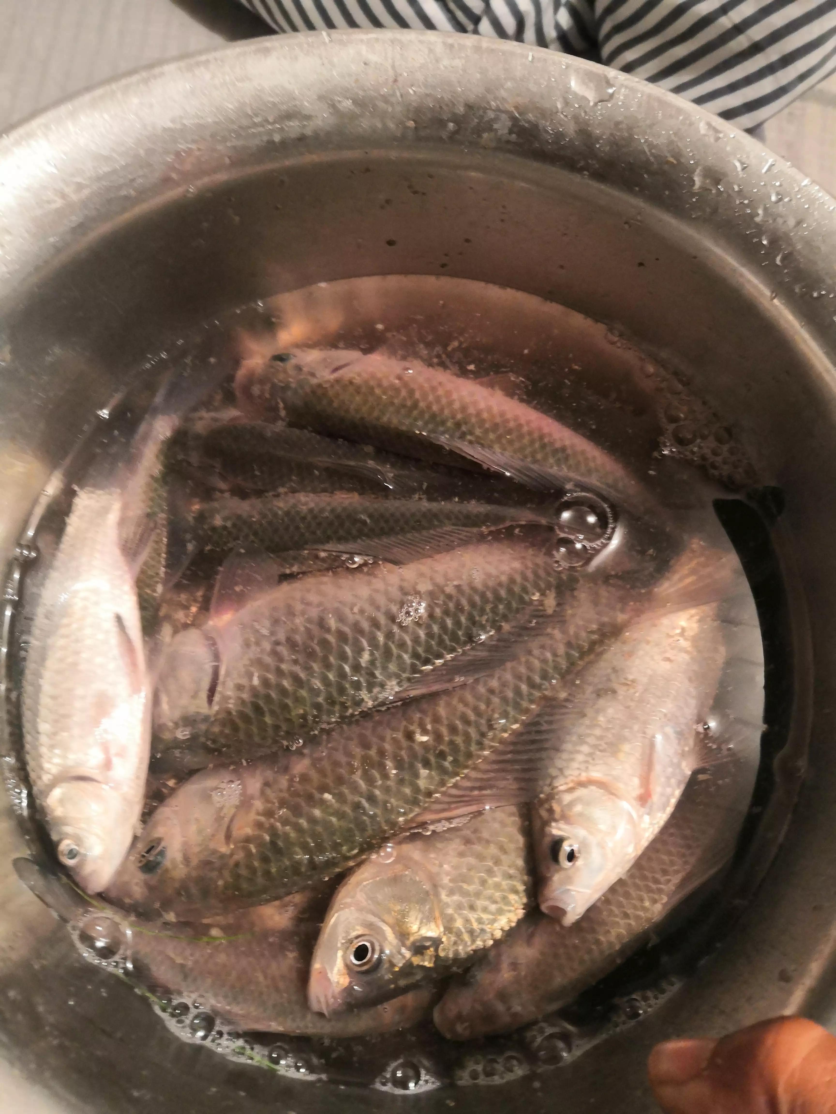 英雄桥野钓视频,英雄大桥底钓鱼开车路线