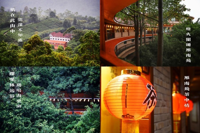 梅州采茶,梅州采茶体验