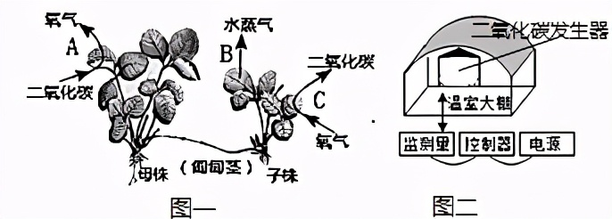 临沂市生物实验操作考试视频,临沂物理实验操作考试试题