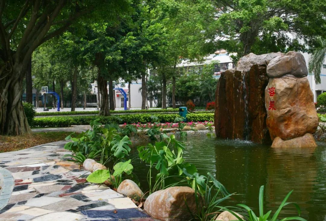 赢在中高考,赢在中考语文