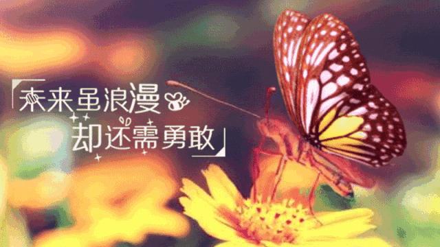 2020霸气文案短句干净治愈,2020霸气句子