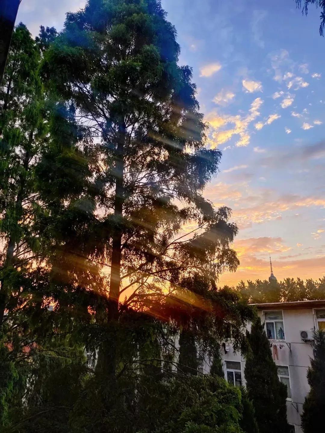 安徽省合肥师范学院2024招生简章,安徽省合肥师范学院今年投档线