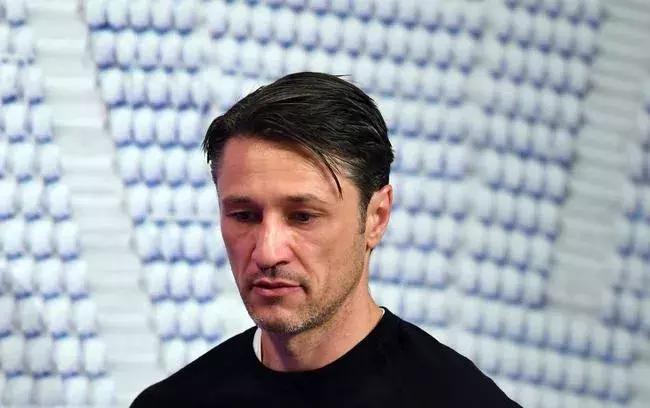 我们对格纳布里评价,格纳布里采访