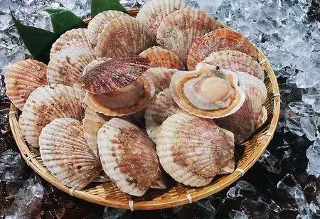 最有营养食物100种,全世界最有营养的食物