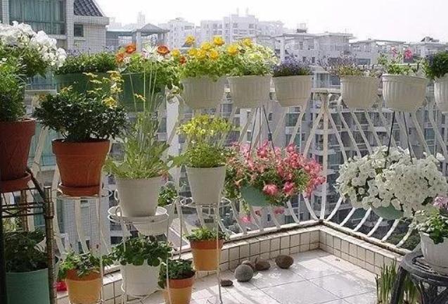 阳台小怎样利用空间种花,阳台空间小怎么养多肉