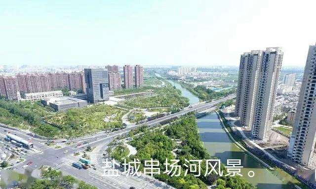 当代婚姻情感故事,连载：人狗情缘,一