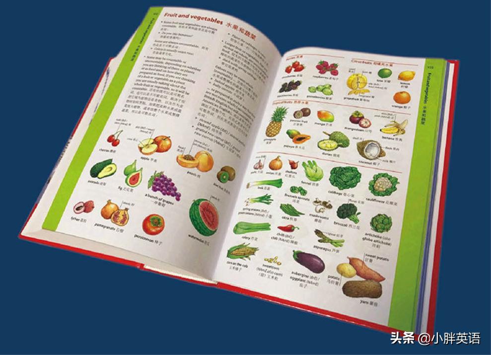 英语词汇量词典哪个好,如何背词典增加词汇量