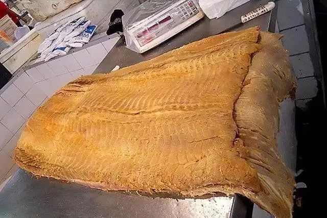 世界十大凶猛淡水鱼类,顶级淡水鱼类