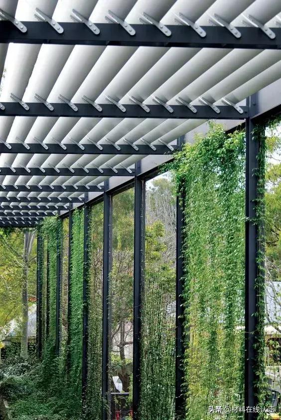 植物窗帘效果图大全,植物窗帘图案