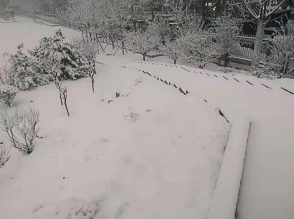 石家庄桥西实验十七中,石家庄市桥西区17中