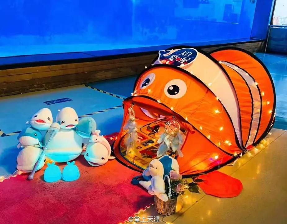 天津海昌极地海洋世界年票,天津海昌极地海洋99票价真实性