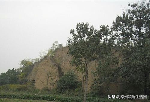 临邑德平是示范镇吗,临邑县德平镇现状