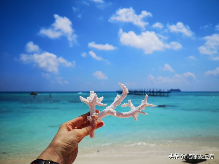 南海西沙岛礁全图,南海西沙群岛海域