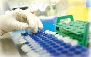 「菲常有料」年度聚餐，谨防一人传染一桌的疾病