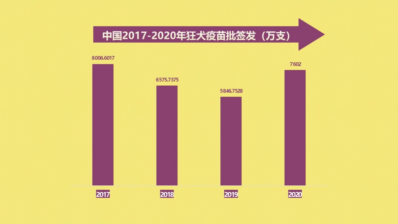 为什么狂犬病还是无法治愈,我国狂犬病为什么很难消灭