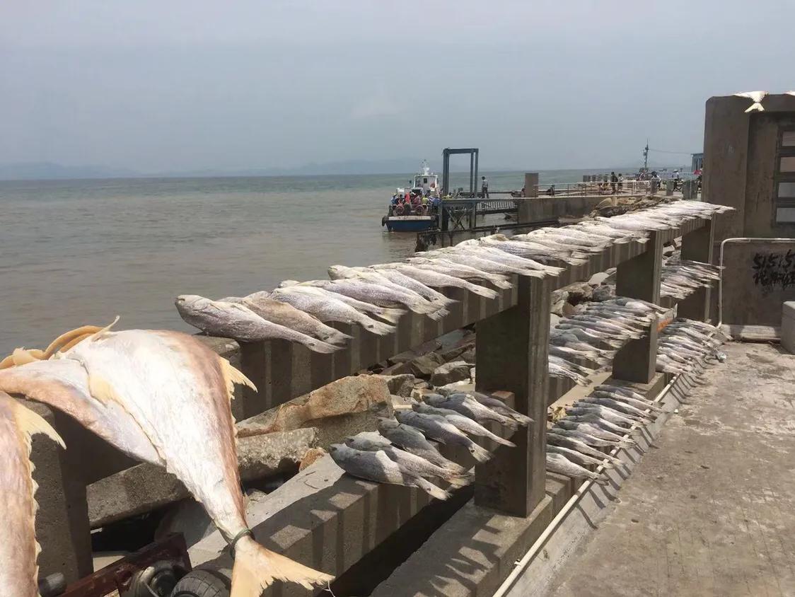 台山下川岛环岛游,台山下川岛介绍