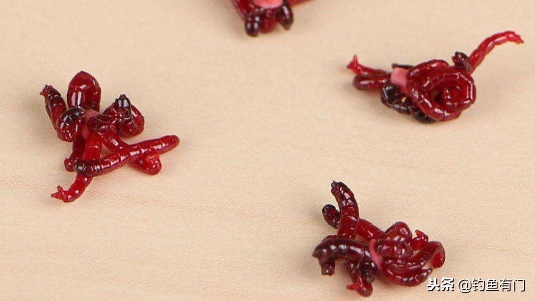 肥水塘冬天用蚯蚓还是红虫好,冬天钓鲫鱼是红虫好还是蚯蚓好