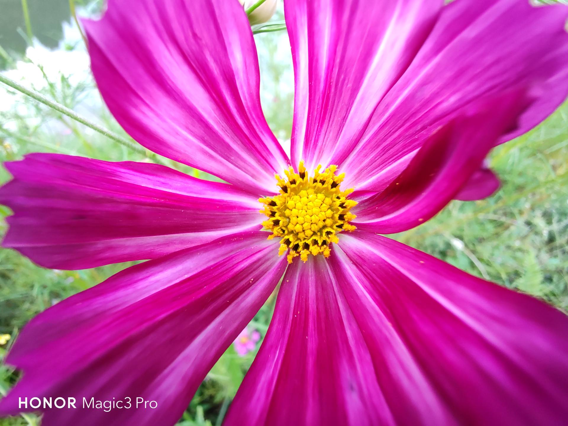 荣耀magic3pro视频拍摄效果,荣耀magic3pro测评最新