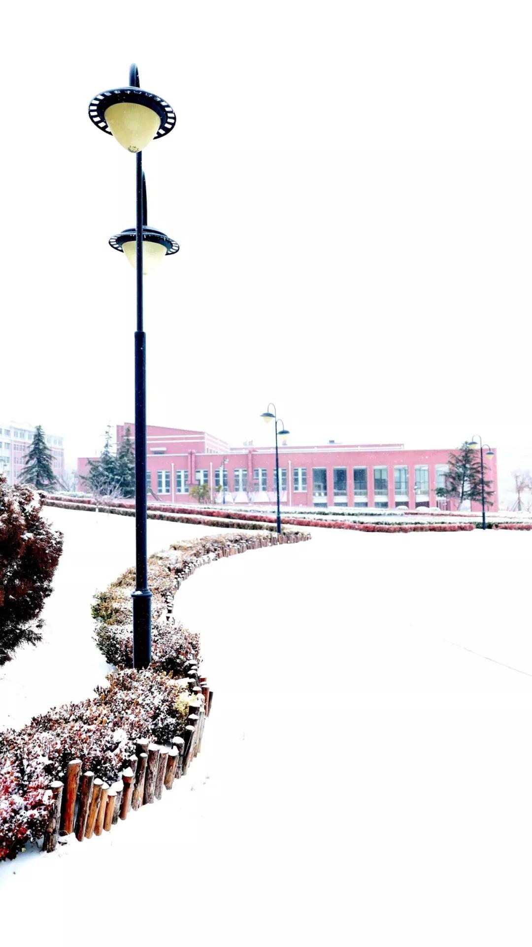 民办学校大连艺术学院全国排名,大连艺术学院辽宁排名