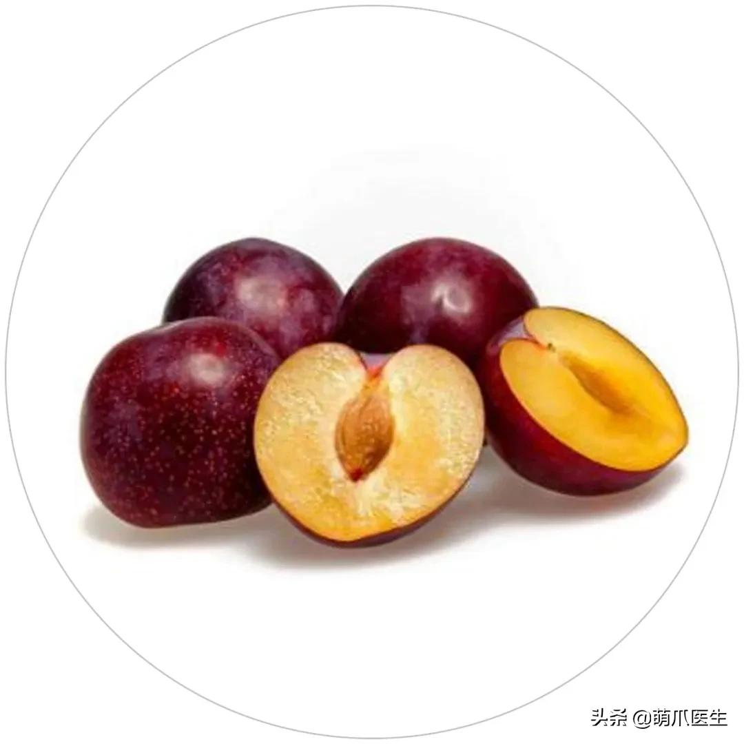 铲屎官们请注意！这些花草不能养，严重可致猫命