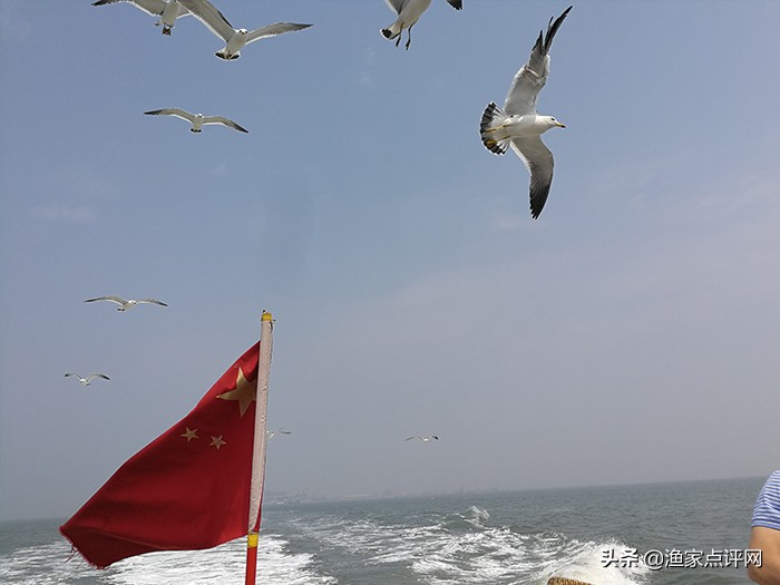 哈仙岛旅游攻略二日游,哈仙岛旅游攻略儿童