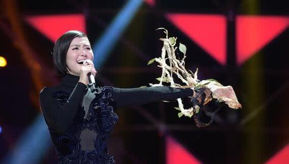 谭维维经典咏流传评价,韩红点评金池