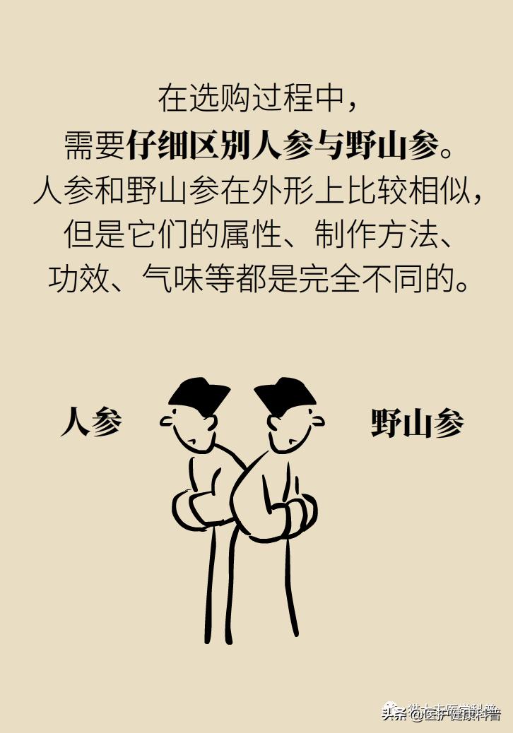 人参红参西洋参哪个提高免疫力好,人参党参红参西洋参有什么区别