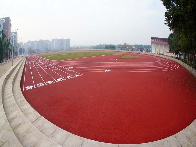 高职高考广东舞蹈戏剧职业学院,广东舞蹈戏剧职业学院有哪些要求