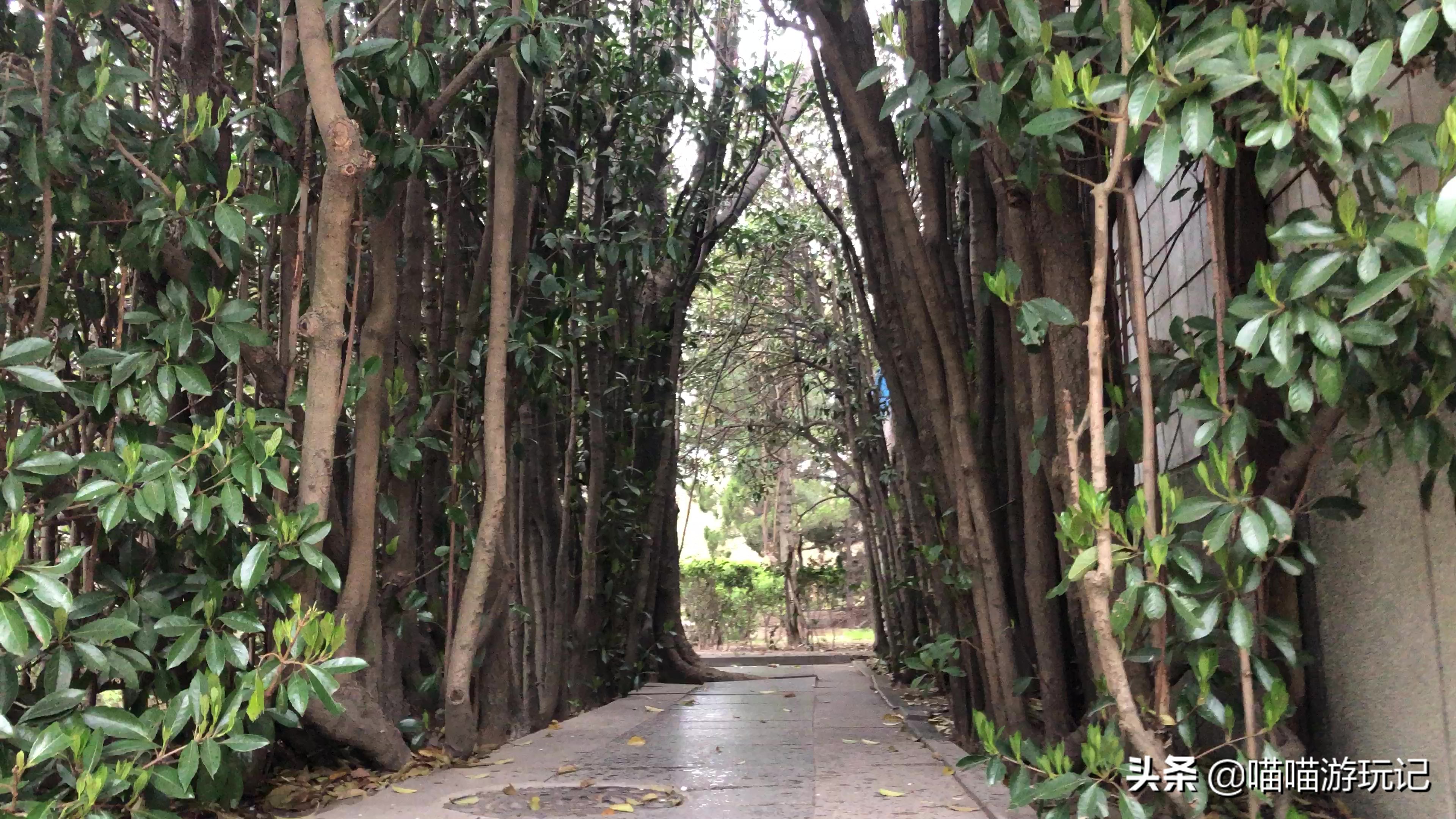 青岛动物园8.5元门票在哪里,青岛动物园8.5元门票需要预约吗