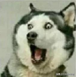 小伙反复头晕查出脑瘤,男子持续头痛竟是脑内有炸弹