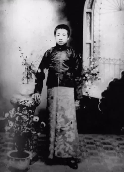 海棠依旧|永远怀念我们的周总理