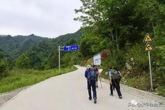 探秘汉中,汉中一村子窜入野生羚牛