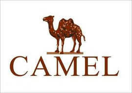 美国鞋业进口,美国鞋业大公司