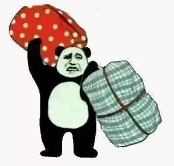 你出国旅游了？帮我代购点东西吧！给你分期付款！|花边阅读