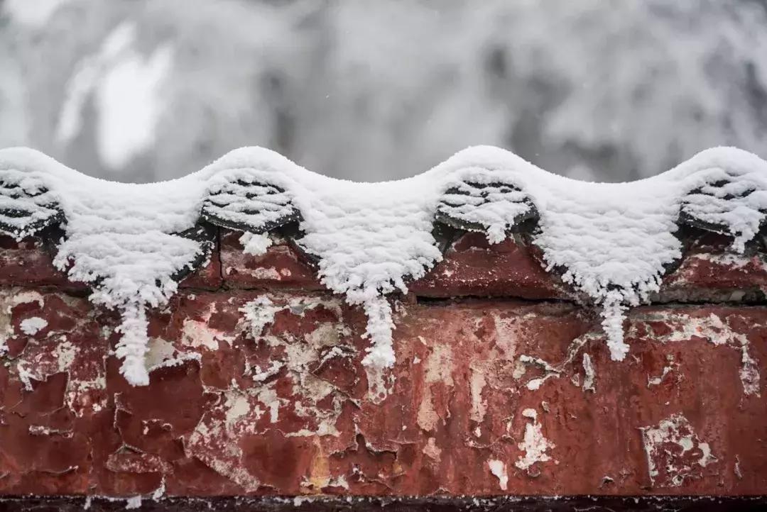 第25届峨眉山冰雪温泉节怎么抢票,2023峨眉山冰雪温泉节是干嘛的