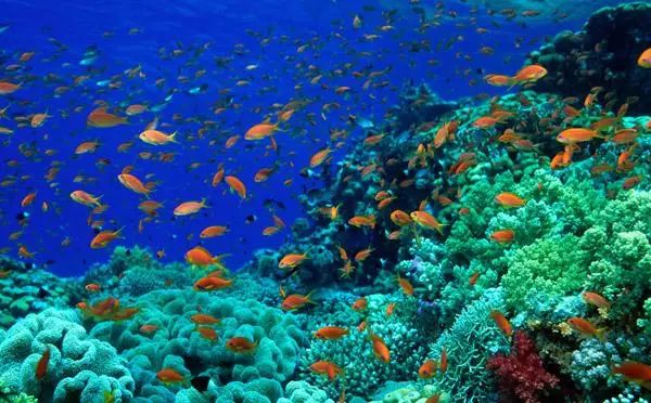 广州适合情侣旅游的景区推荐,广州情侣必去的旅游胜地