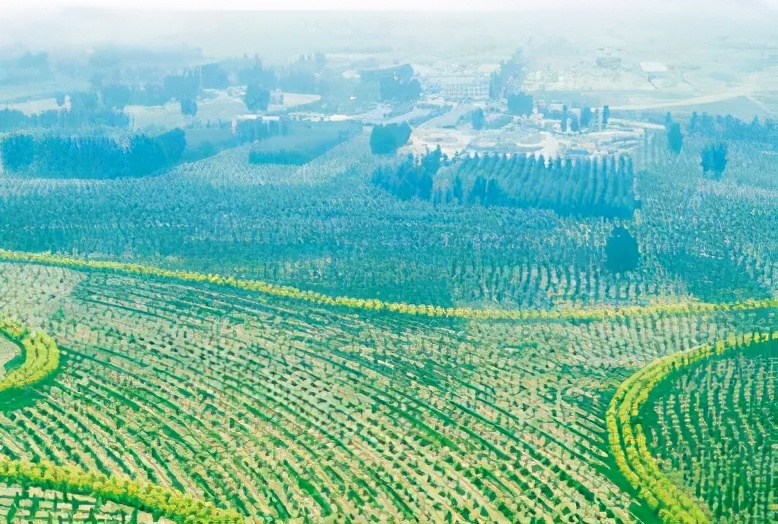 做强纸业“生态+”大文章,奋力打造高质量发展典范——岳阳林纸绿色发展纪实