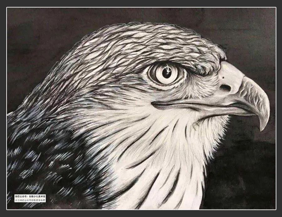 素描绘画素材9-12岁,素描基础绘画教程创意素描