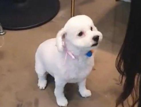 exo金俊勉中文介绍自己,金俊勉身上刻有exo所有成员的名字