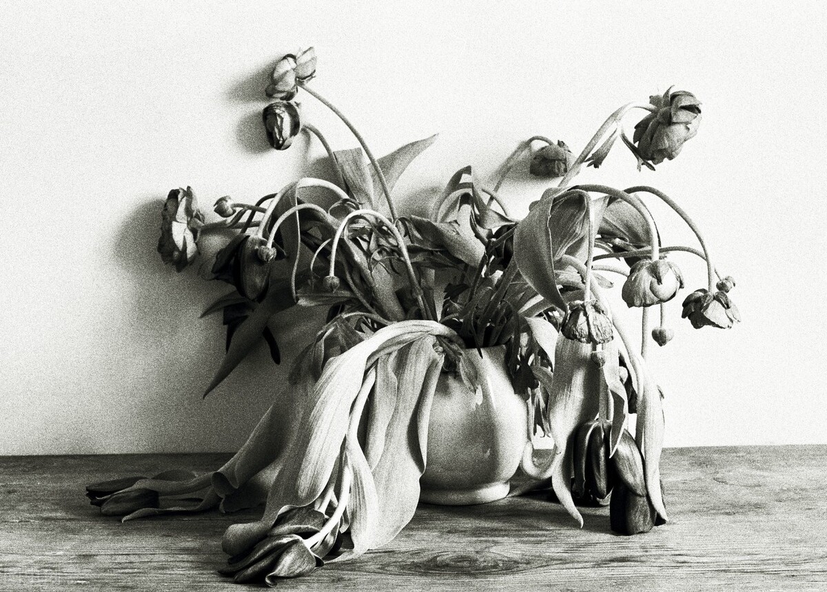 愿父亲在天堂没有疾苦,写给我的父亲