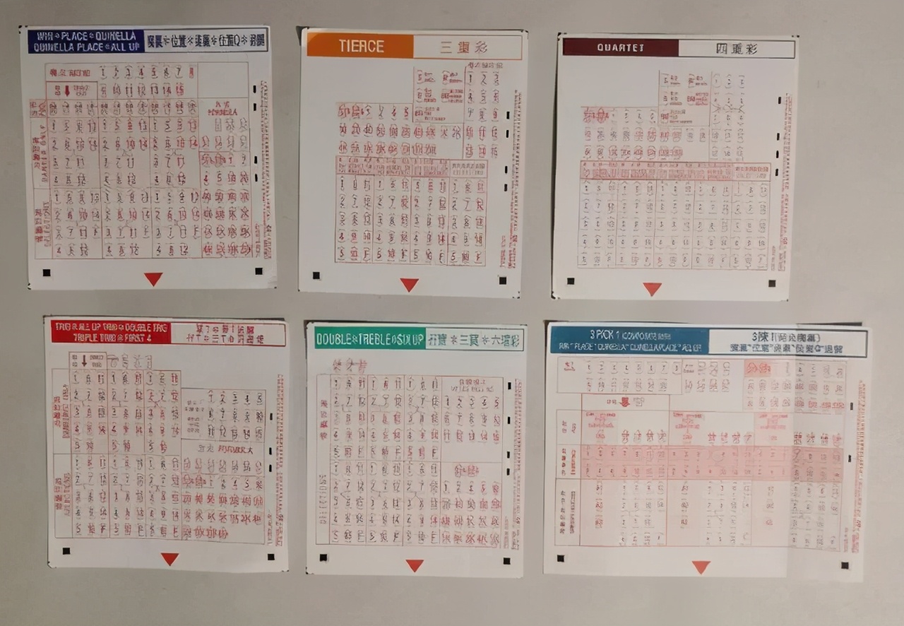 香港赛马会介绍,香港赛马会沙田马场